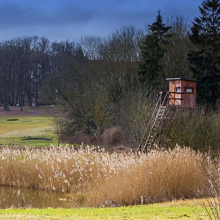 Tiny House Fleesensee Mit Eigenem Garten Und Nur Wenige Meter Vom Seeufer Göhren-Lebbin المظهر الخارجي الصورة
