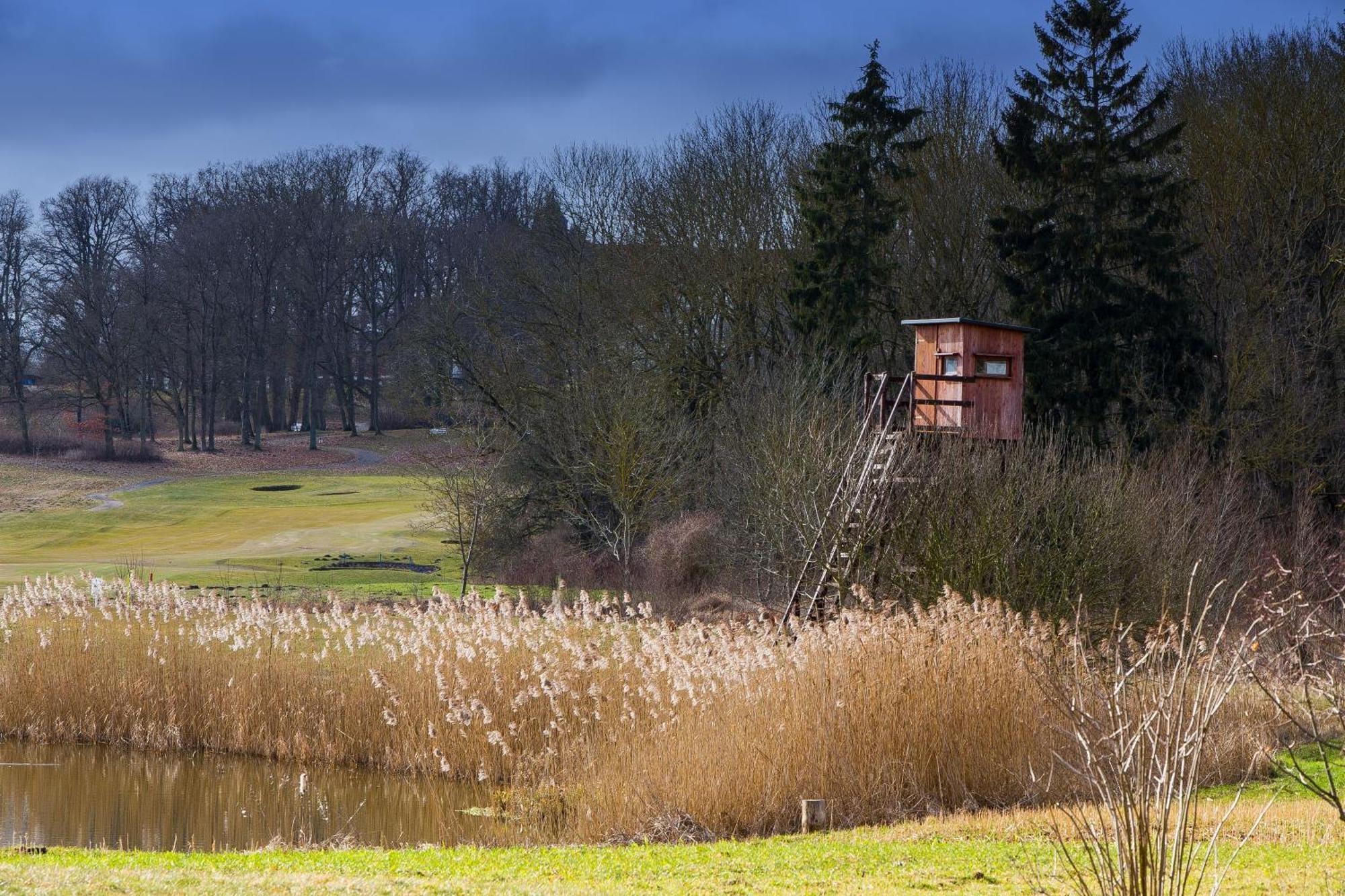 Tiny House Fleesensee Mit Eigenem Garten Und Nur Wenige Meter Vom Seeufer Göhren-Lebbin المظهر الخارجي الصورة
